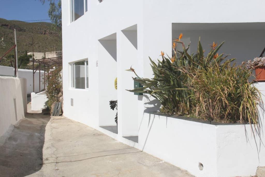 Apartament Tranquilidad Y Naturaleza. Entre Volcanes Y Mar Presillas Bajas